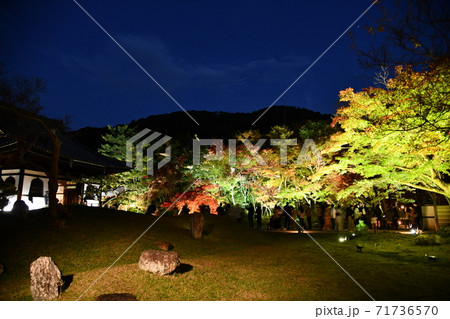 秋の高台寺 秋の高台寺 71736570