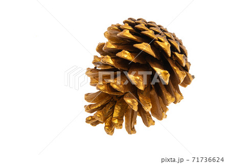 golden cone isolated 71736624