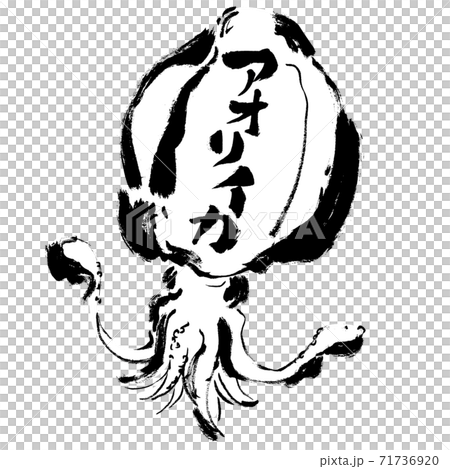 アオリイカ の文字のあるアオリイカの手描きイラスト イカのイラストのイラスト素材