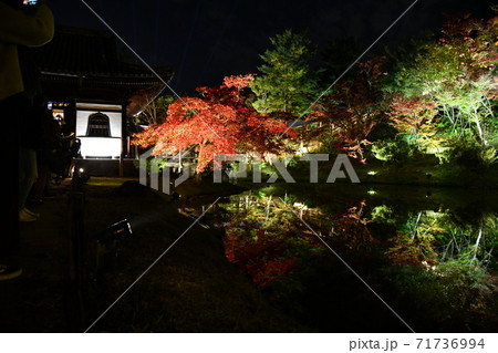 秋の高台寺ライトアップ 秋の高台寺ライトアップ 71736994