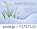 New Year 2021 greeting card, group of snowdrops, flowers in snow, 2021 greeting, 2021 new year 71737110
