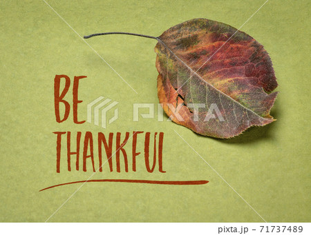 be thankful text with a dried leaf on handmade paper 71737489