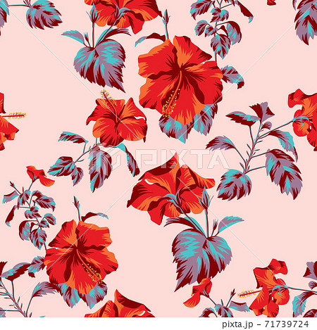 Floral background with Chinese roses Floral background with Chinese roses 71739724