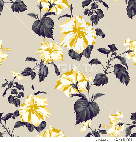 Floral background with Chinese roses 71739733