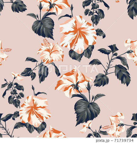 Floral background with Chinese roses Floral background with Chinese roses 71739734