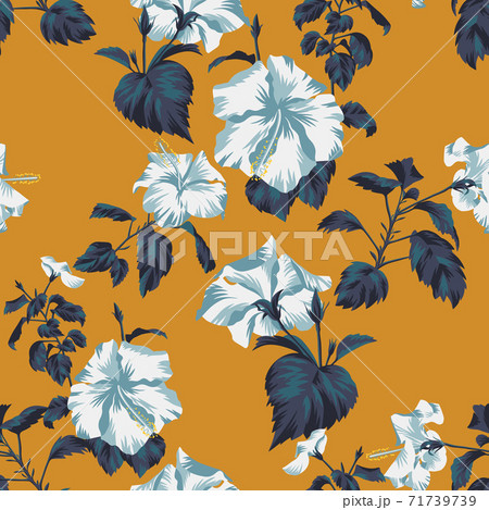 Floral background with Chinese roses Floral background with Chinese roses 71739739