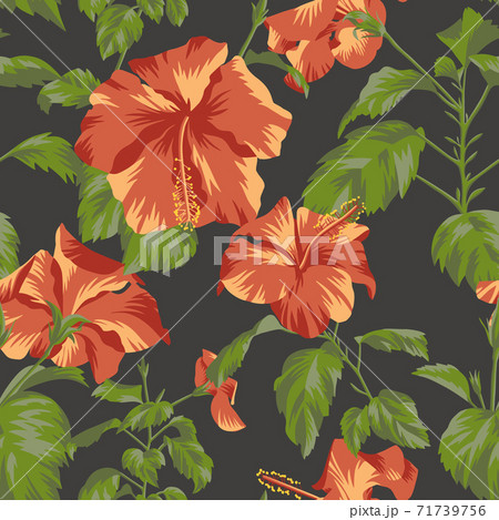 Floral background with Chinese roses Floral background with Chinese roses 71739756