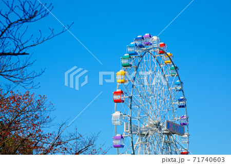 あらかわ遊園の新観覧車と青空 紅葉 クローズアップ あらかわ遊園の新観覧車と青空 紅葉 クローズアップ 71740603