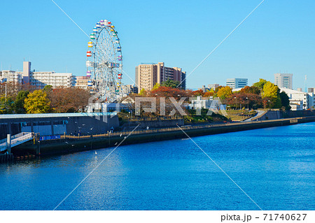 あらかわ遊園の新観覧車と青空 紅葉 あらかわ遊園の新観覧車と青空 紅葉 71740627