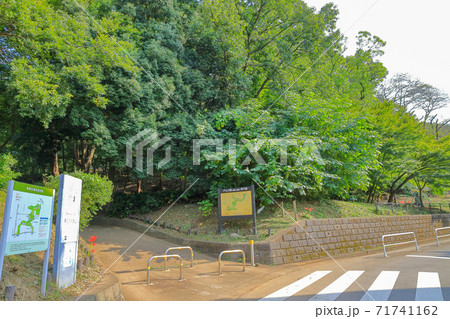 戸山公園_箱根山地区 71741162