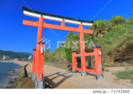 【宮崎県】快晴下の青島神社 大鳥居 【宮崎県】快晴下の青島神社 大鳥居 71741900