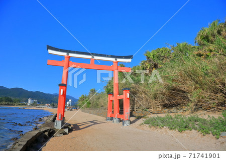 【宮崎県】快晴下の青島神社 大鳥居 71741901