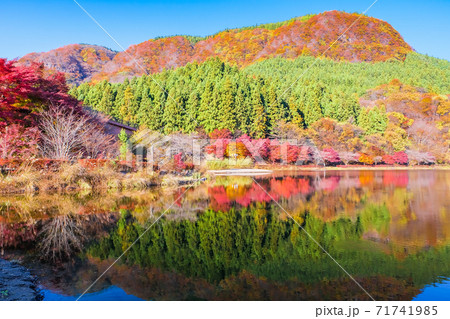 紅葉の碓氷湖と刎石山 紅葉の碓氷湖と刎石山 71741985