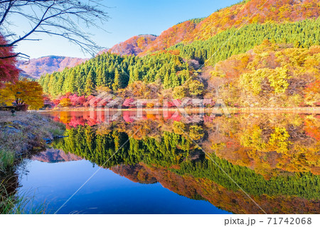 水鏡の碓氷湖 71742068