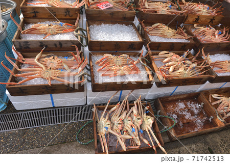 松葉蟹　店頭に並んだ新鮮な蟹　城崎の風景 71742513