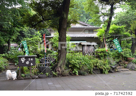 上野公園のさくら・上野こども遊園 上野公園のさくら・上野こども遊園 71742592