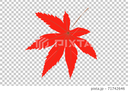 紅葉 イメージ 紅葉 イメージ 71742646