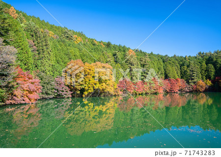 南伊奈ヶ湖の紅葉の写真素材