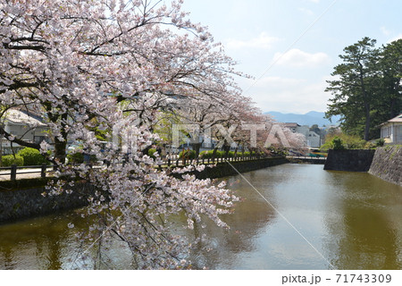 小田原城 小田原城 71743309