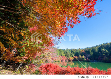 南伊奈ヶ湖の紅葉 南伊奈ヶ湖の紅葉 71743397