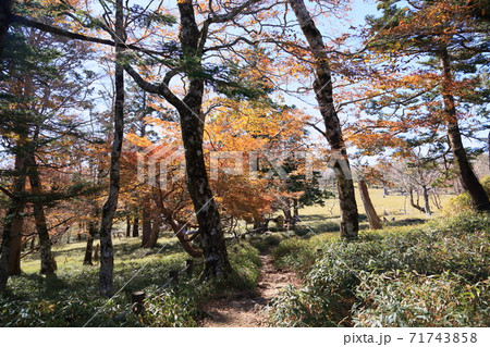 牛石ヶ原へ　 71743858