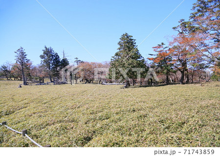 牛石ヶ原 71743859