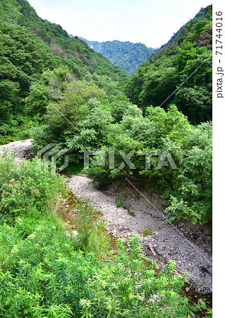 只見線の只見駅から会津川口駅までの各駅と周辺の風景 只見線の只見駅から会津川口駅までの各駅と周辺の風景 71744016