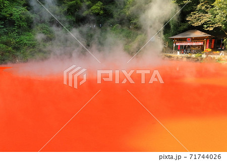 【大分県】別府地獄めぐり（血の池地獄） 71744026