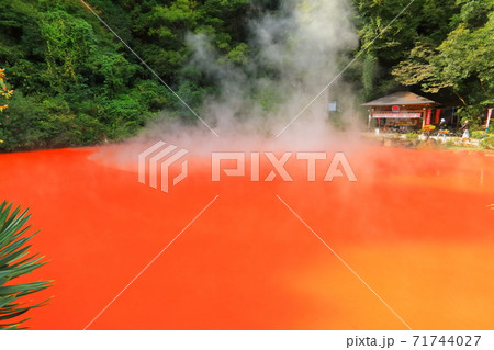 【大分県】別府地獄めぐり（血の池地獄） 71744027