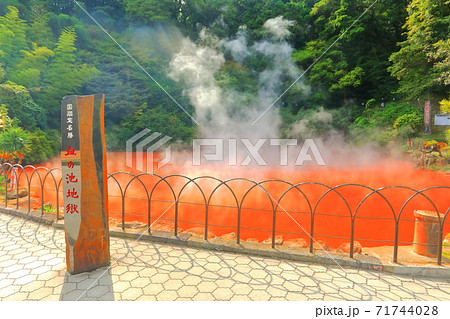 【大分県】別府地獄めぐり（血の池地獄） 71744028