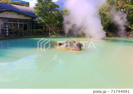 【大分県】白池地獄（別府地獄めぐり） 71744091