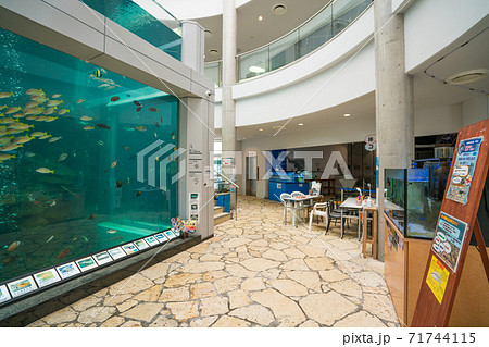奄美海洋展示館 奄美海洋展示館 71744115