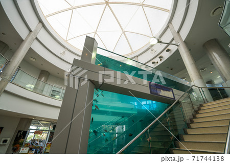 奄美海洋展示館の写真素材