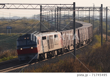 斜光を受けて夕張川橋梁からの築堤を下る貨物列車 斜光を受けて夕張川橋梁からの築堤を下る貨物列車 71745495