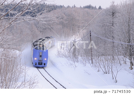 銀世界の中を札幌へ向かう特急「スーパー宗谷」 71745530