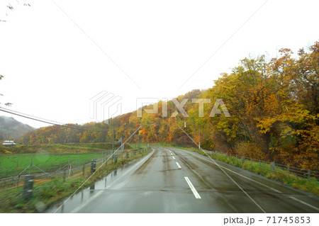 秋の濡れた路面(北海道) 71745853