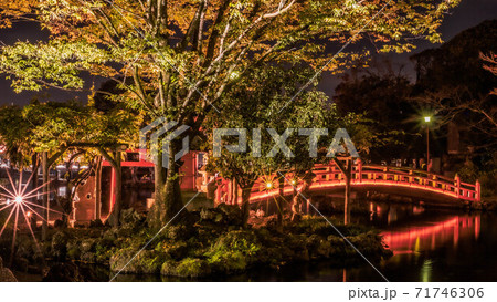 富士山本宮浅間大社の湧玉池ライトアップ 71746306