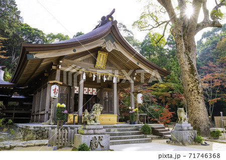 福岡県太宰府市の人気スポット 秋の宝満宮竈門神社 71746368