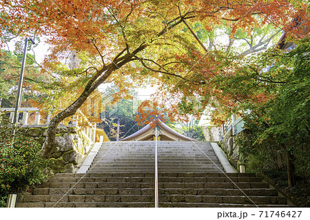 福岡県太宰府市の人気スポット 秋の宝満宮竈門神社 71746427