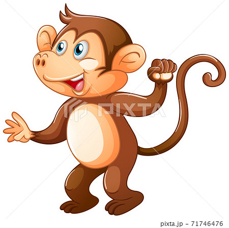 A cute monkey on white background A cute monkey on white background 71746476