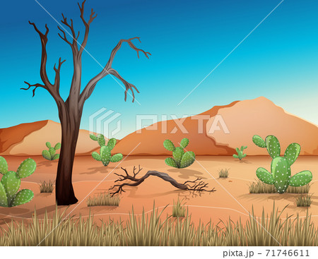 Desert with sand mountains and cactus landscape at day time scene 71746611