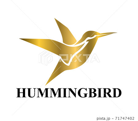 Golden Vector illustration on a white background of flying hummingbird. Suitable for making logos.	 71747402