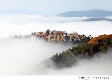 天空の山城5169 71747593