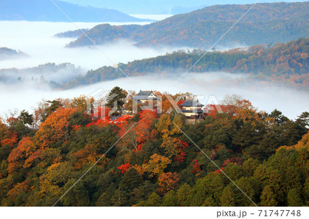 天空の山城4521 天空の山城4521 71747748