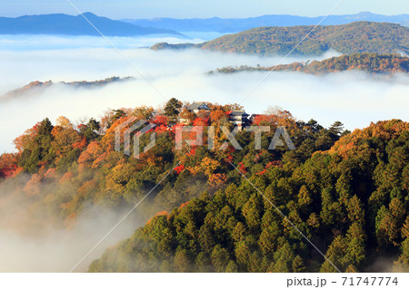 天空の山城4658 71747774