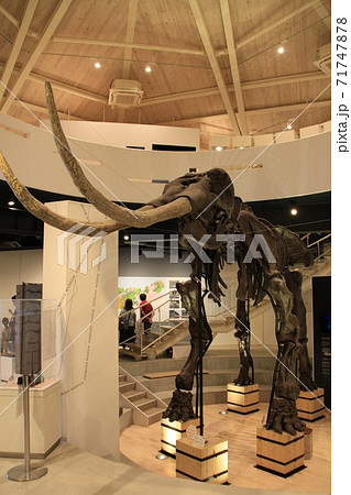 玄武洞ミュージアム 71747878