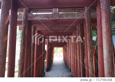 佐賀県 鹿島市 祐徳稲荷神社の赤い鳥居 71748168