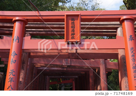 佐賀県 鹿島市 祐徳稲荷神社の赤い鳥居 佐賀県 鹿島市 祐徳稲荷神社の赤い鳥居 71748169