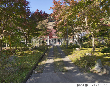 妙泉寺の紅葉 妙泉寺の紅葉 71748272