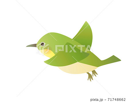 Warbler Mejiro Tori Bird Stock Illustration